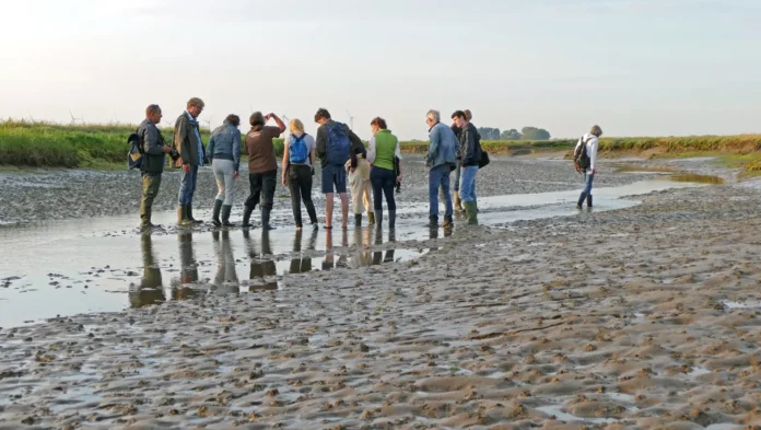 Nieuwe mogelijkheden voor recreatie in de natuur op Tholen verlagen druk op kustgebieden